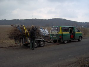 Gehölzschnitt am Benther Berg
